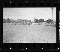 Colin Howell Calf roping