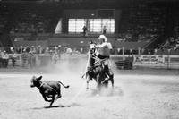 Arnold Hart Calf roping