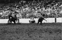 Barry Burk Calf roping