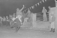 Unidentified Bull rider on unknown Bull