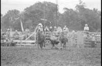 Wayne Smith Steer wrestling