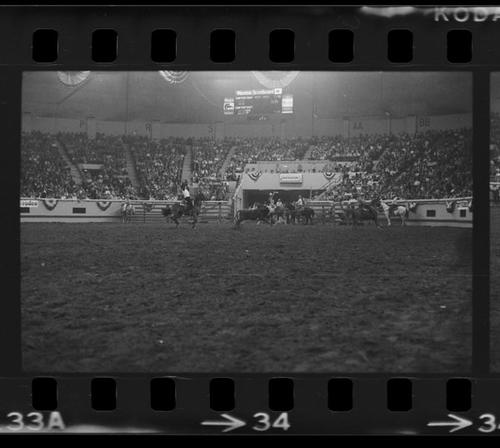 NFR, Oklahoma City,  Roll M, 7th Performance