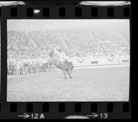 Bobby Brown on unknown Saddle bronc