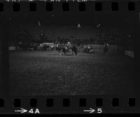 Danny Whiteley Steer wrestling