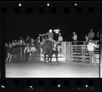 Wendall Ratchford on Bull #18
