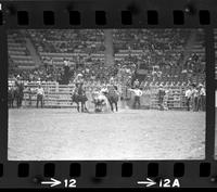 Donnie Bowles Steer wrestling