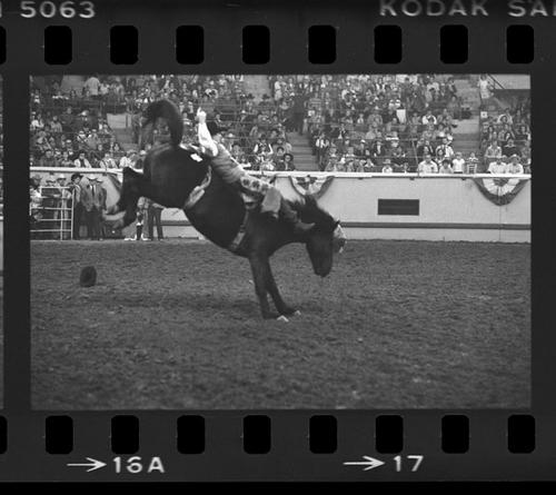 NFR, Oklahoma City, Roll E, 2nd Perf.