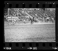 Jack McCue Calf roping