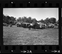 Unidentified Horse trailers