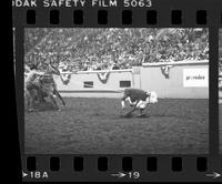 Roy Cooper Calf roping