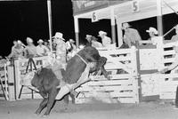 Donnie Gay on Bull #T9