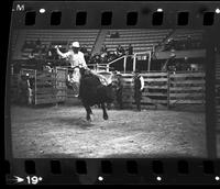 Herb Fricke on Bull #23
