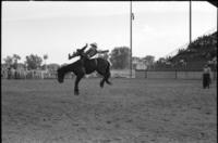 Lonnie Hall on Hanna Hanover