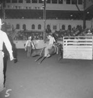 McGuire Steer riding