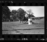 Unidentified Barrel racer