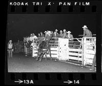 Ike Sankey on Bull #12