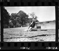 Unidentified Barrel racer