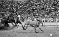 Jim Mallery Calf roping