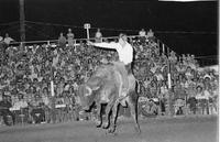 Jerome Robinson on Bull #23