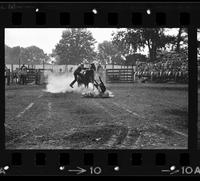 C.T. Jones Calf roping