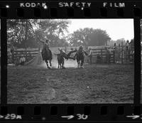 Harold Spencer Steer wrestling, 6.2 Sec (4th)