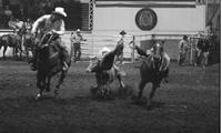 Alfalfa Fedderson Steer wrestling