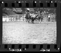 Larry Ward Steer wrestling