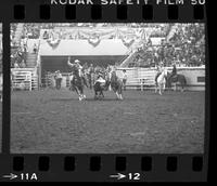 Larry Ferguson Steer wrestling