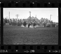 Wayne Spencer Steer wrestling