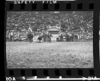 J.W. Smith Steer wrestling