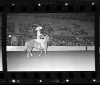 Charro Gomez Trick roping