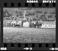 Lee Cockrell Calf roping, 4th Perf.