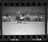 Sonny Vaughn Steer wrestling
