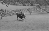 Glen Urban Bull fighting with Bull #15