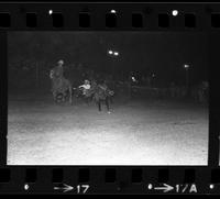 Greg Alsup Steer wrestling