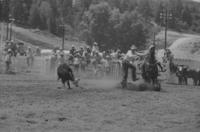 Evan Goulding Calf roping