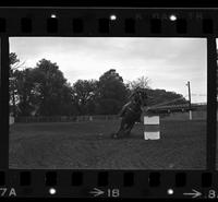 Unidentified Barrel racer