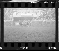 Tom Ferguson Steer wrestling