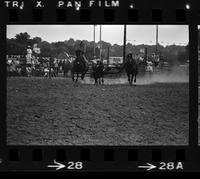 Doug Janke Steer wrestling