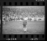Possibly Bern Gregory photographing unidentified Bull rider on unknown Bull