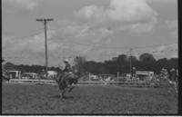 Tom King on Saddle bronc #66