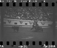 Warren Wuthier Calf roping