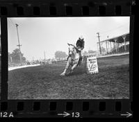 Marcia Smalley Barrel racing