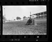 Rogina Clayman Barrel racing