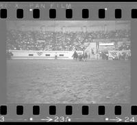 Don Huddleston Steer wrestling