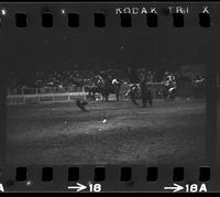 Bobby Goodspeed Calf roping, 10.6 Sec