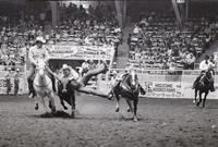 Tommy Puryear Steer wrestling