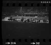 Jay Himes Steer wrestling