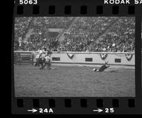 Bobby Goodspeed Calf roping