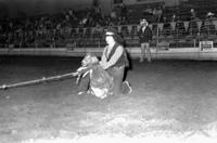Jean Hall Goat tying, Southwest Missouri State University